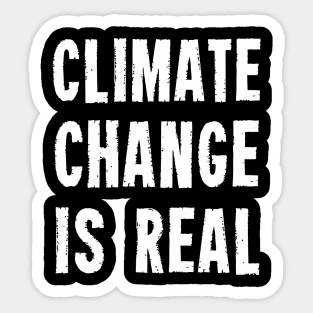 Climate Change Is Real Sticker